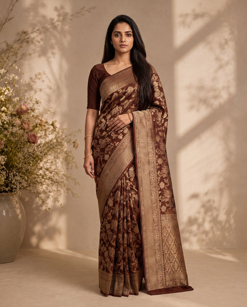 Full drape front view of chocolate brown pure HO silk saree